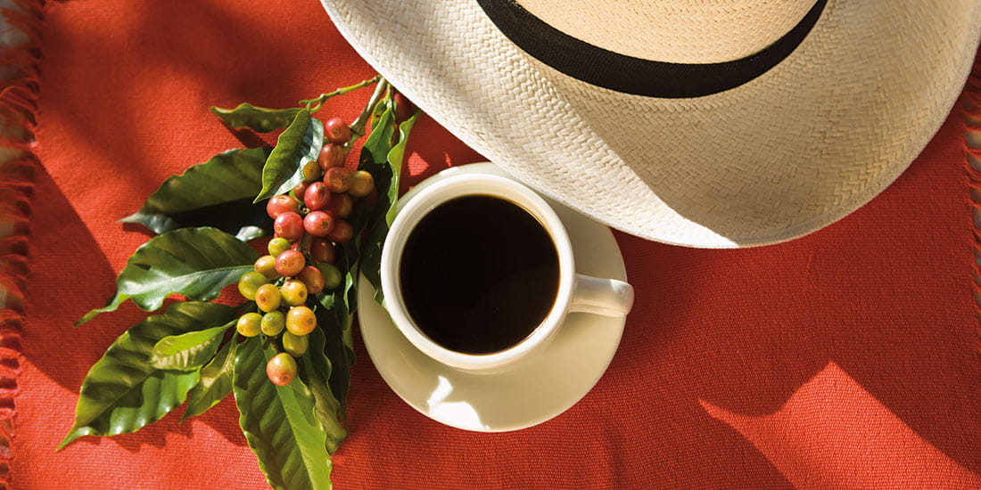 Embark on a coffee-tasting journey in Colombia